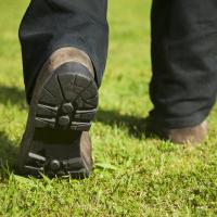 Lawn care technician from Coastal Turf walking on a lawn.