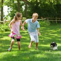 little girl and boy playing in the yard with their dog