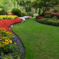 Green grass with flower beds