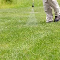 lawn technician spraying the lawn for weeds