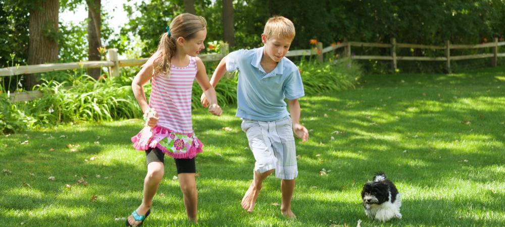 little girl and boy playing in the yard with their dog