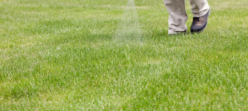 lawn technician spraying the lawn for weeds
