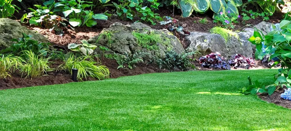 a green lawn in the spring