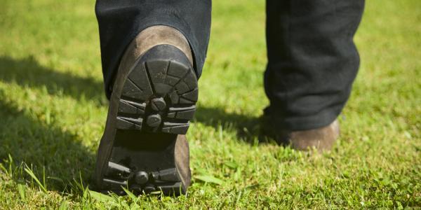 Lawn care technician from Coastal Turf walking on a lawn.