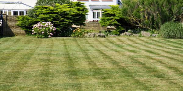 mowed lawn in front of a large white house