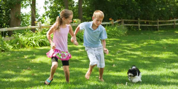 little girl and boy playing in the yard with their dog