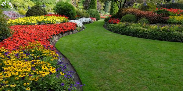 Green grass with flower beds
