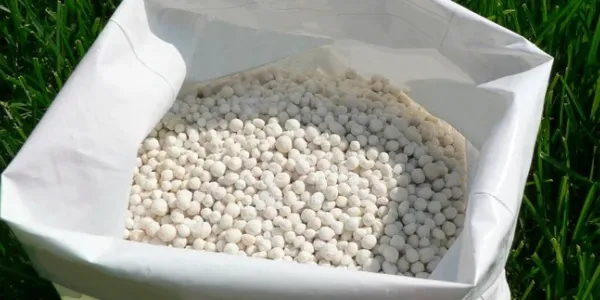 bag-of-white-granular-fertilizer