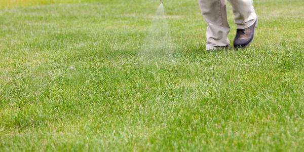 lawn technician spraying the lawn for weeds