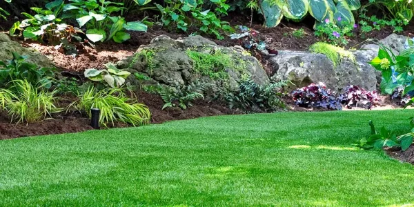 a green lawn in the spring