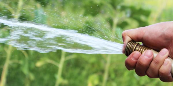 Someone watering the grass, close up on the hand